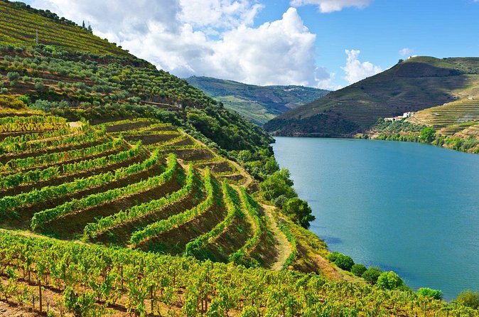 Douro Valley Delights Wine Tasting and Scenic Vistas - Stop 2: Rua Peso da Régua, the Douro wine hub