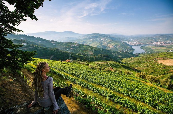 Douro Valley Delights Wine Tasting and Scenic Vistas - Stop 3: Quinta do Tedo, organic vines and valley panoramas