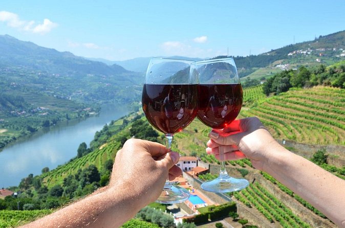 Douro Valley Delights Wine Tasting and Scenic Vistas - Stop 5: Quinta do Beijo, family winemaking with a modern edge