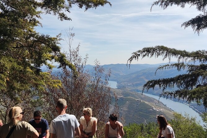 Douro Valley Exclusive and Sustainable Experience from Porto - Quinta Seara d’Ordens: Guided Tasting With Reds, Whites, and Port