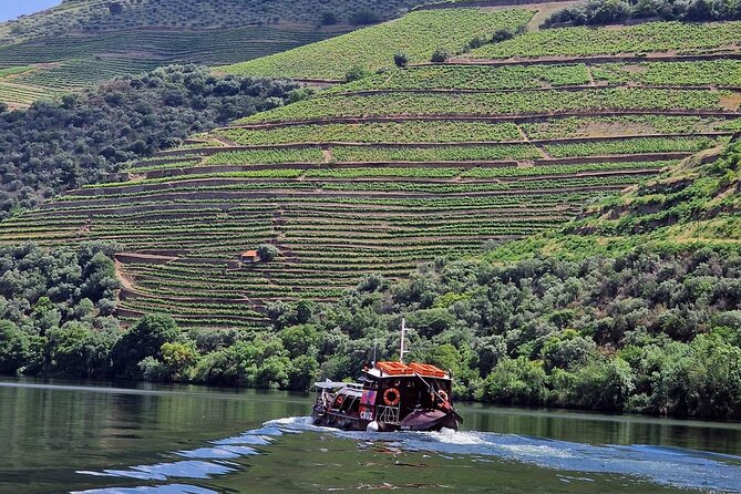 Douro Valley-Expert Guide-Boat-Lunch-Tastings-Offer wine bottle - What Makes This Douro Day Trip Feel Different From a Usual Wine Tour