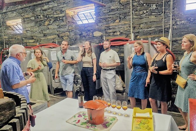 Douro Valley-Expert Guide-Boat-Lunch-Tastings-Offer wine bottle - Miradouro Torguiano: Viewpoint Stop and a Quick Port Wine Crash Course