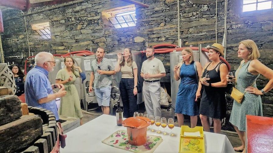 Douro Valley-Expert Guide-Boat-Lunch-Tastings PremiumService - Douro Valley Viewpoints: What You Gain Before You Hit Pinhão