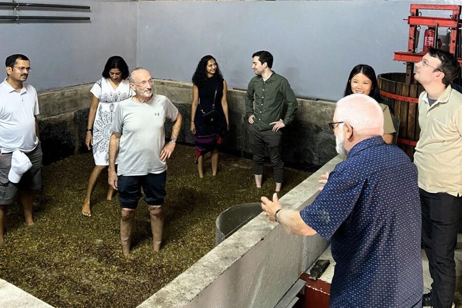 Douro Valley-Expert Guide-Boat-Lunch-Tastings PremiumService - Winery Stop Two: From Vineyards to Stamping, Barrels, and Bottling
