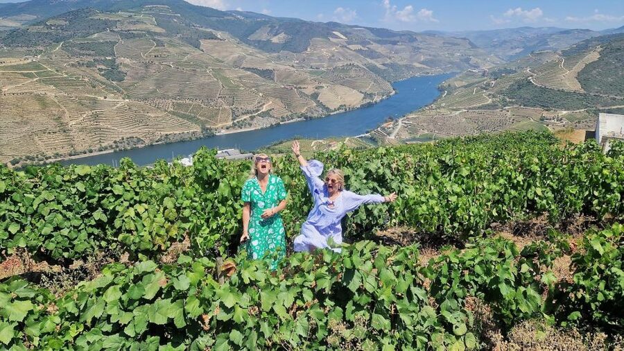 Douro Valley-Expert Guide-Boat-Lunch-Tastings PremiumService - The Douro Tastings: What to Notice So It Actually Sticks