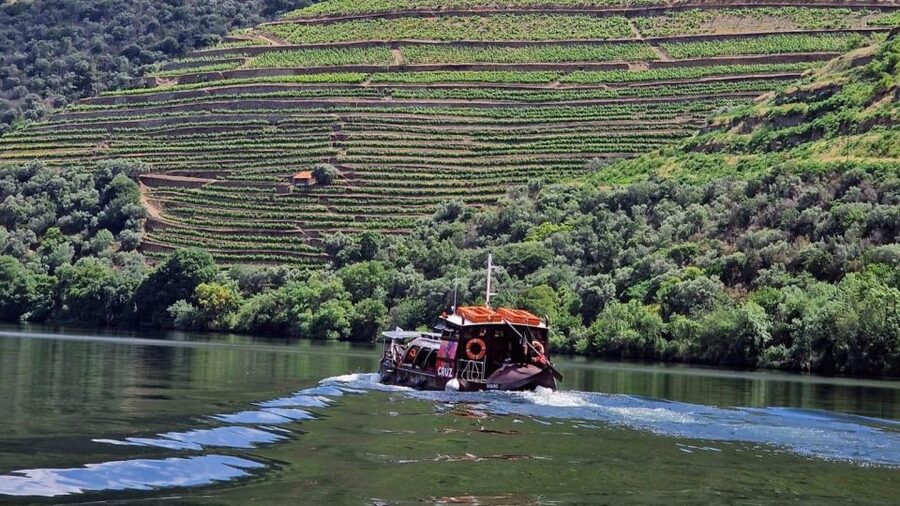 Douro Valley-Expert Guide-Boat-Lunch-Tastings PremiumService - Porto Pickup and the Easiest Way to Start the Day