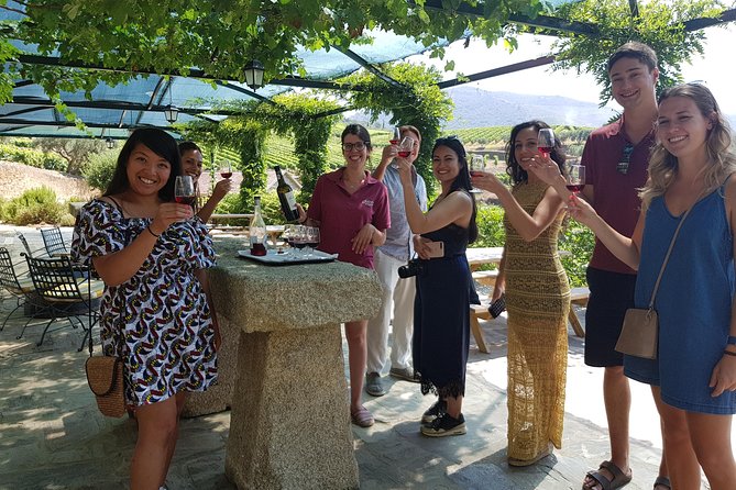 Douro Valley for Wine Lovers with Visit to 4 Wineries and Lunch - Key Highlights You Should Know
