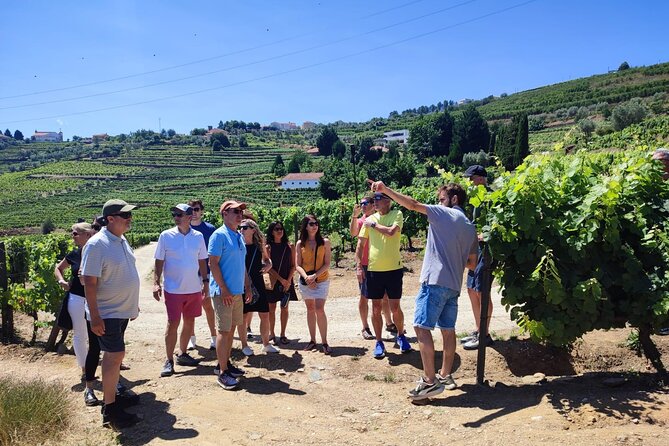 Douro Valley for Wine Lovers with Visit to 4 Wineries and Lunch - Porto to Douro Valley: What the Day Feels Like