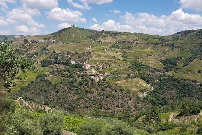 Douro Valley for Wine Lovers with Visit to 4 Wineries and Lunch - Four Winery Stops: Port, Table Wines, and How Tastings Are Structured
