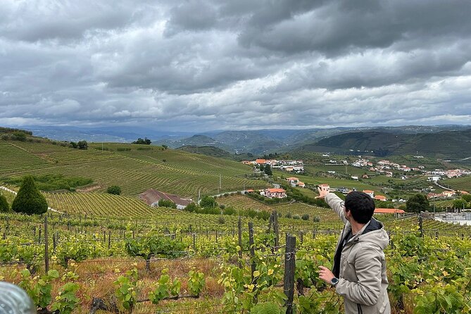 Douro Valley for Wine Lovers with Visit to 4 Wineries and Lunch - Value Check: Is $205.67 a Fair Deal?