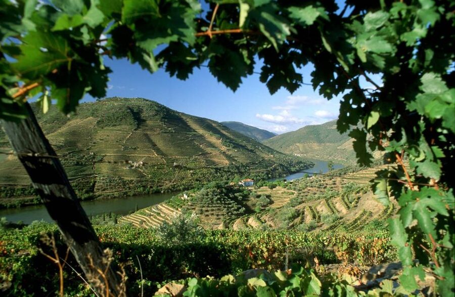 Douro Valley: Full-Day Private Tour from Porto - Key highlights you will actually care about