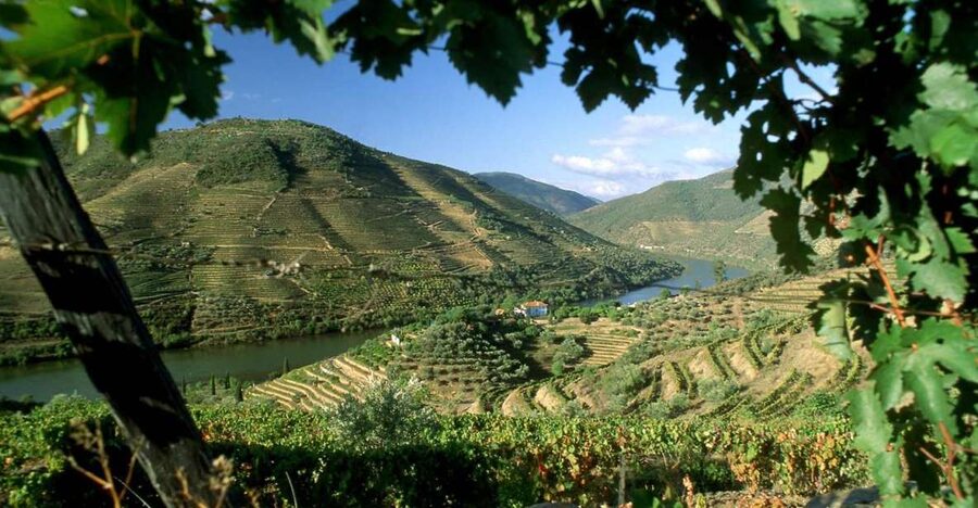 Douro Valley: Full-Day Private Tour from Porto - From Porto to the Douro Valley: why this day trip makes sense