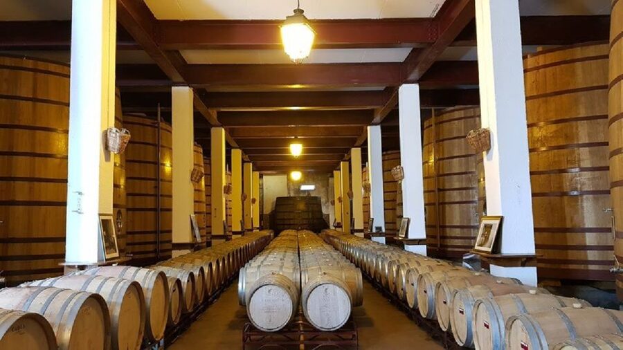 Douro Valley: Full-Day Private Tour from Porto - Guide quality and the private pace: what you are buying