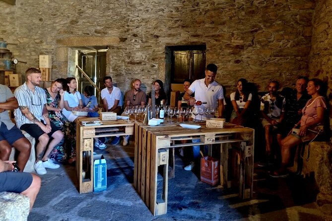 Douro Valley Guided Tour of 3 Vineyards with Lunch - Key highlights at a glance