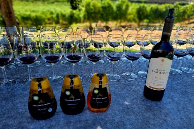 Douro Valley Guided Tour of 3 Vineyards with Lunch - A quick miradouro break: the Douro River bends, in 10 minutes