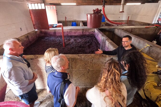 Douro Valley Guided Tour of 3 Vineyards with Lunch - Pinhão: vineyard tour plus wine tasting where the valley feels real