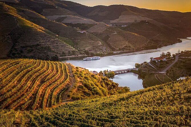 Douro Valley Half-Day Tour: Wine Tasting and Boat Ride - A Douro Valley afternoon built around views and family wineries