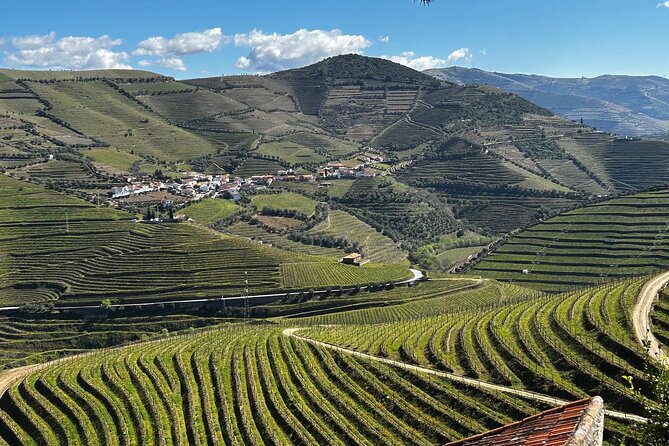Douro Valley Half-Day Tour with Winery and Lunch From Porto - Key highlights to look for before you go