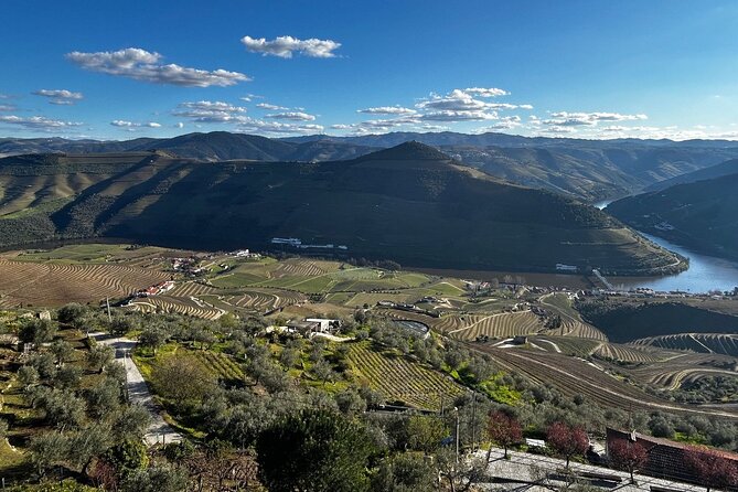 Douro Valley Half-Day Tour with Winery and Lunch From Porto - What makes the guides a key part of the value