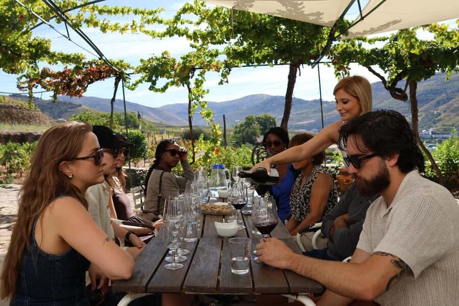 Douro Valley: Half-Day, with 1 winery & 1-h boat tour - Why this Douro half-day feels efficient from Porto