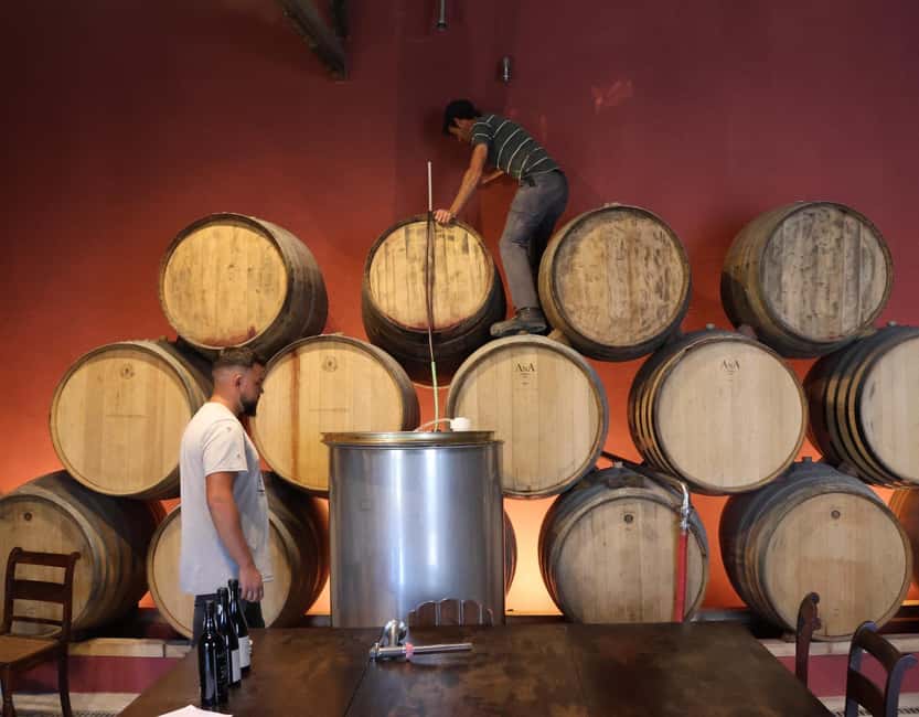Douro Valley: Half-Day, with 1 winery & 1-h boat tour - How the timing really feels: what to do with 7 to 9.5 hours