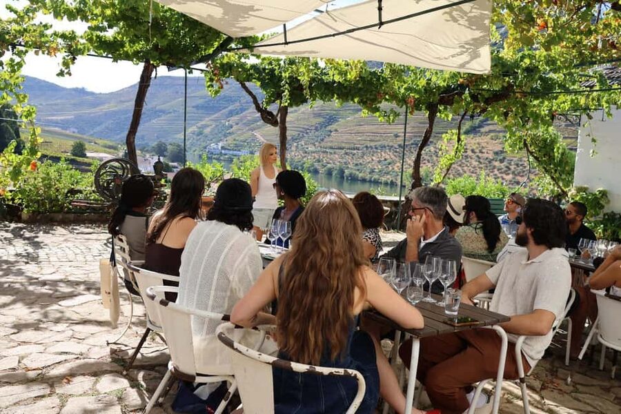 Douro Valley: Half-Day, with 1 winery & 1-h boat tour - Price and value: why $80 makes sense for this combo