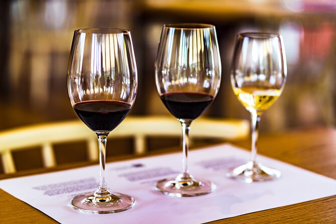 Douro Valley: Historical Sites, Wine Experience, Lunch & Cruise - Pinhão Rabelo cruise: the water-level view of terraces