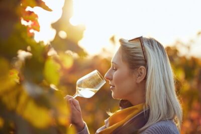 Historical Sites, Wine Experience, Lunch & Cruise
