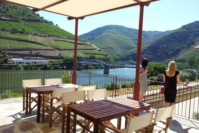 Douro Valley: Historical Sites, Wine Experience, Lunch & Cruise - Pinhão vineyard estate visit: the guided walking tour and 3-wine tasting
