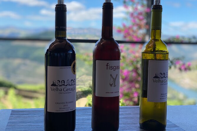 Douro Valley in a Tesla - Stop 1: DOrigem Olive Oil Museum and Tasting