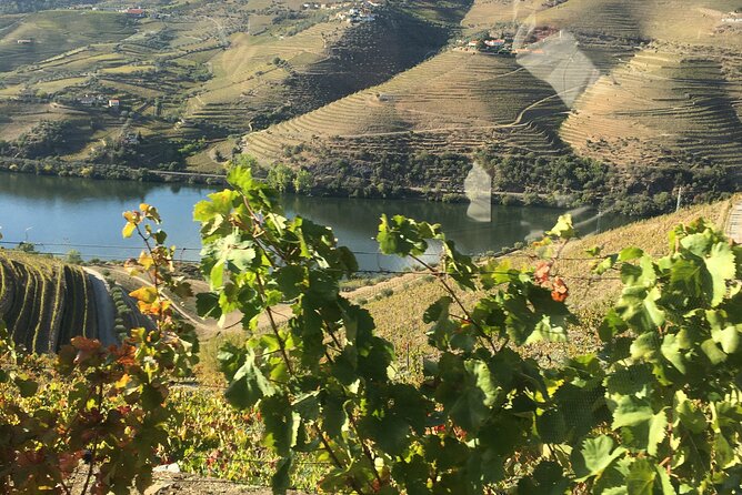 Douro Valley in off road - Private Tour - Key highlights before you go