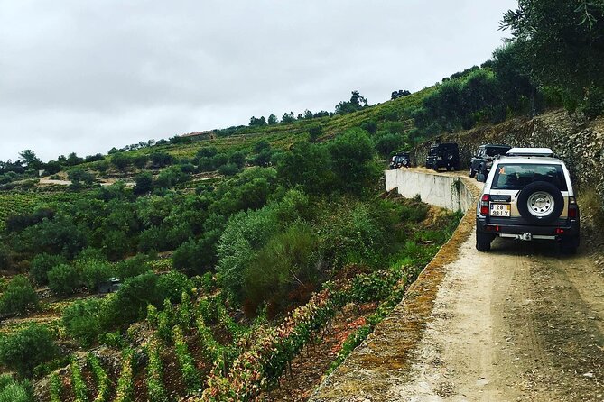 Douro Valley in off road - Private Tour - São Leonardo da Galafura Miradouro: The Picnic Stop With a Poetic Backstory