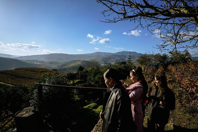 DOURO VALLEY: Lunch in a winery, tastings & 1-h private boat tour - Winery visits and tastings: small scale, lots of story