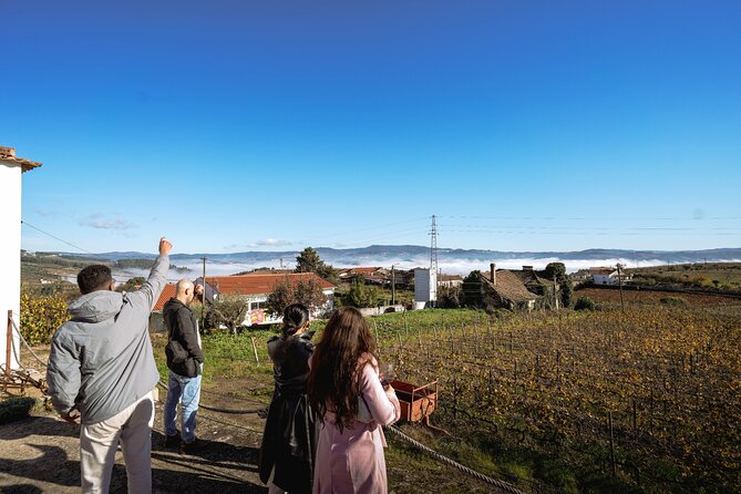 DOURO VALLEY: Lunch in a winery, tastings & 1-h private boat tour - Peso da Régua: the long lunch that makes the day worth it
