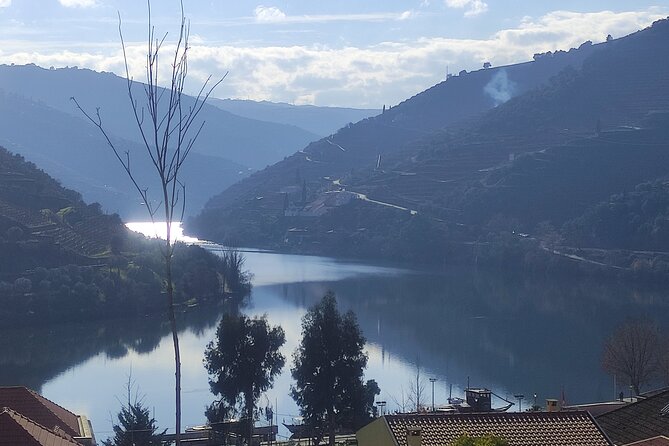 Douro valley Majestic - Mesão Frio: last views and a smooth finish