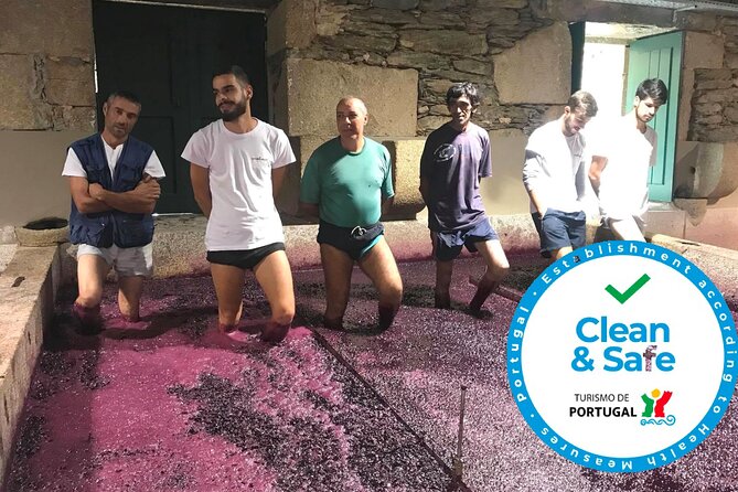 Douro Valley Premium Private - A private Douro Valley day trip that starts with convenience