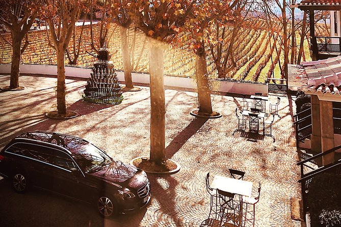 Douro Valley Premium Private - Two winery and farm visits with tastings you can actually use