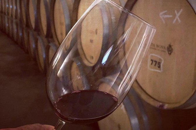 Douro Valley Premium Private - Price and value: what $311.55 per person is buying you