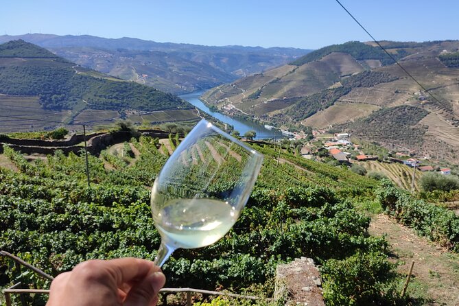 Douro Valley Premium Tours - Private Driver & Guide - Peso da Régua: A Convenient Valley Town Stop