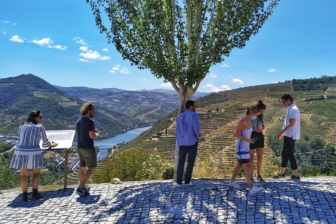 Douro Valley Prime Tour: Wine Tastings, Boat & Lunch from Porto - Quinta do Panascal: granite fermentation tanks and Port tastings with river views