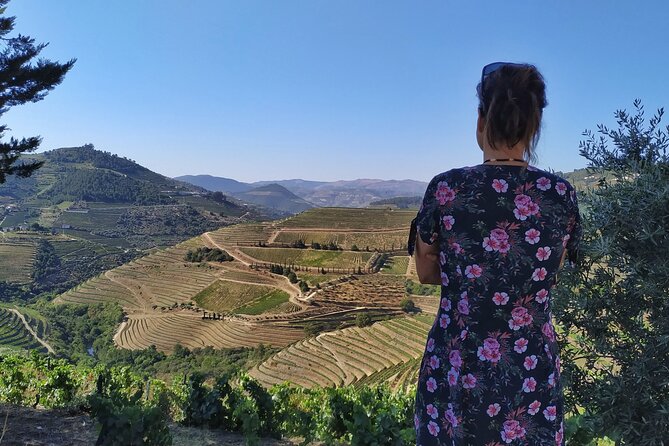 Douro Valley Prime Tour: Wine Tastings, Boat & Lunch from Porto - Lunch at the vineyard: three courses, Portuguese home cooking, and a wine rhythm