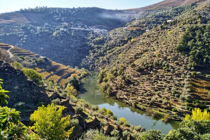 Douro Valley Prime Tour: Wine Tastings, Boat & Lunch from Porto - The morning drive from Porto: Vinho Verde, Amarante, and mountain scale