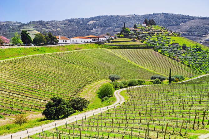 Douro Valley private day tour from Porto - Price and what you truly get for a $660.87 group