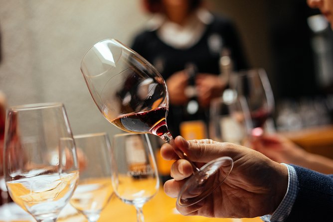Douro Valley Private Day Trip including Boat Ride & Wine Tasting - A private Douro Valley day feels calmer than the big buses