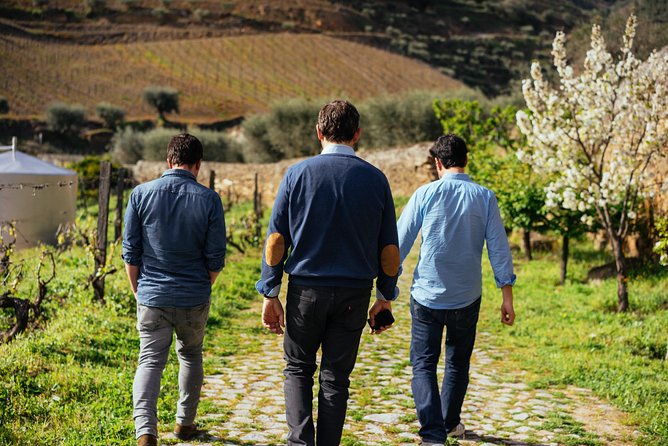 Douro Valley Private Day Trip including Boat Ride & Wine Tasting - Stop 1 in Pinhão: quick looks that set the mood