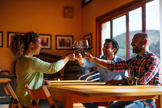 Douro Valley Private Day Trip including Boat Ride & Wine Tasting - What you’re paying for: $325.32 per person, and why it can still be worth it