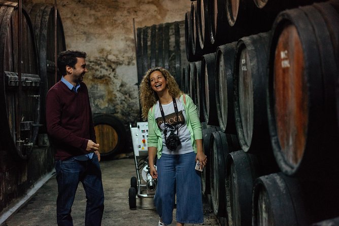 Douro Valley Private Day Trip including Boat Ride & Wine Tasting - Porto pickup and timing: what the 9:00 am start means