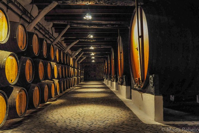 Douro Valley Private Full–Day Tour from Porto - Peso da Regua’s pedestrian bridge and the quick scenic break