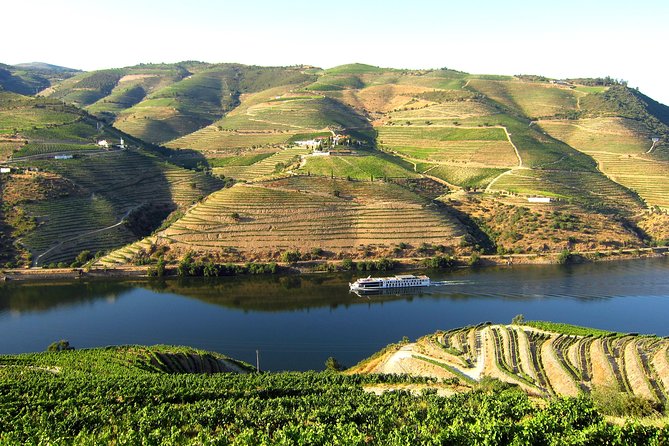 Douro Valley Private Full–Day Tour from Porto - Entering the Douro Valley at CMTour (your short intro stop)