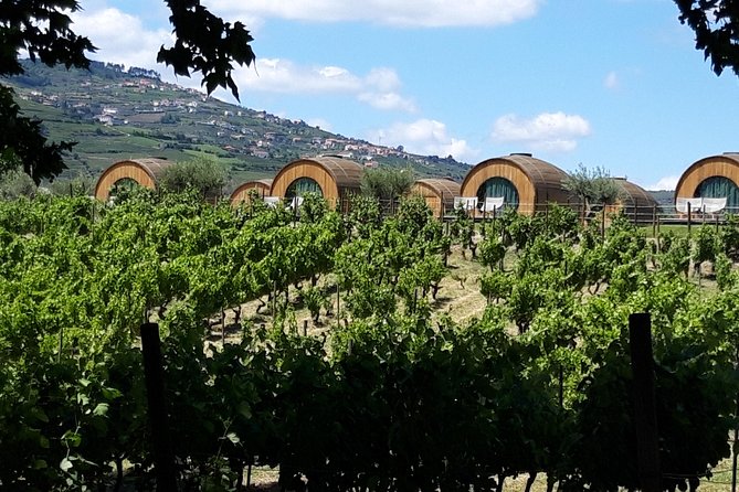 Douro Valley Private Premium Tour with Wine Tasting (1 to 4 people) - Stop 3 in Pinhão: Rabelo Boat Sightseeing and Douro Tile Spotting